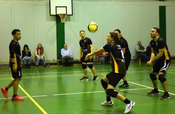 Bild: Volleyballspiel